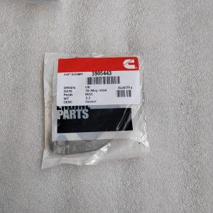 3905443  GASKET