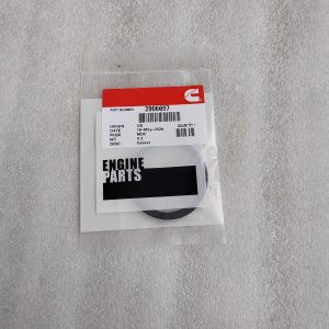 3906697  GASKET