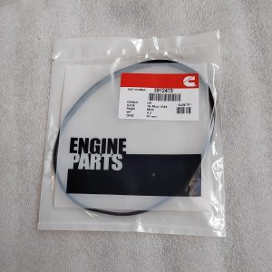 3912473  OIL SEAL