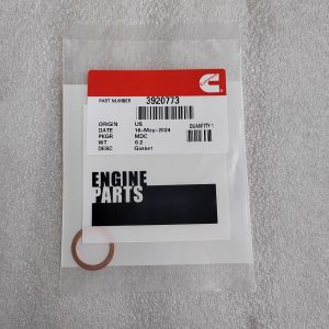 3920773  GASKET