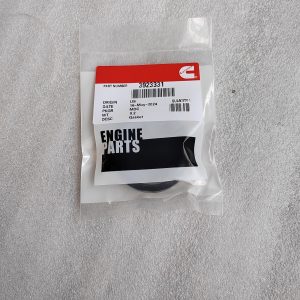3923331  GASKET