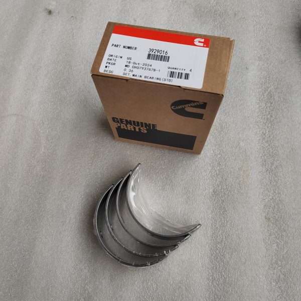 3929016  SET, MAIN BEARING