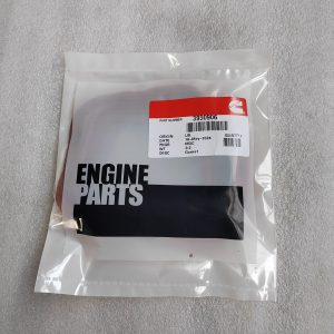 3930906  GASKET