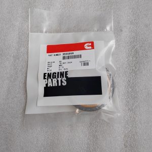 3935959  OIL SEAL