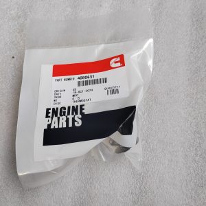 4080631  THERMOSTAT