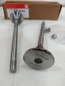 135957 - VALVE IN Cummins NTA855 - Image 4