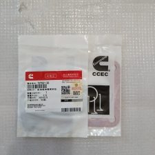 157551-gasket-oil-pipe-cummins-ntr855