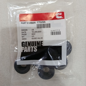 170296-guide-valve-cummins-nta855