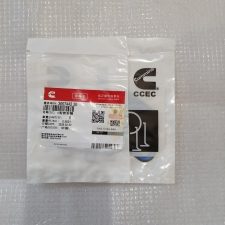 3007442-o-ring-cummins-nta855
