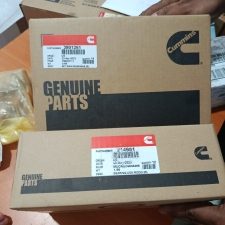 3801281-main-bearing-0-25-cummins-nta855