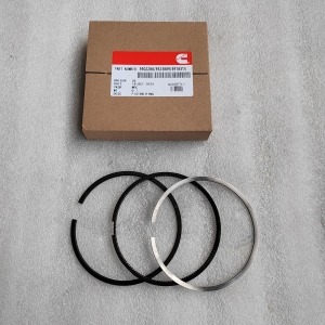 3902286/3923889/3918315 PISTON RING Cummins NTA855