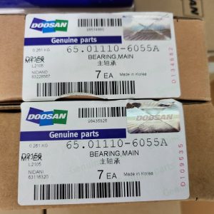 65.01110-6055A BEARING MAIN DOOSAN DEVELON