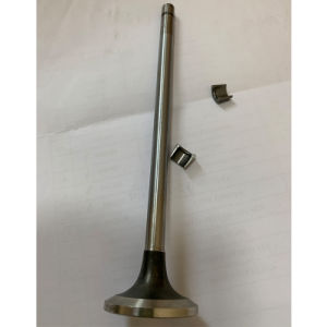 cummins-exhaust-valve-3418021-3800639-3417714-for-cummins-ism11-engine