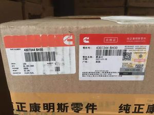 cummins-fuel-pump-4307244-for-cummins-qsk60-2