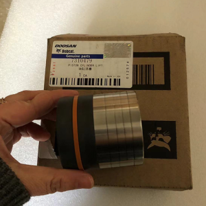 7310479/7310479 PISTON  DOOSAN DEVELON