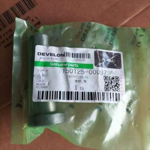 150125-00037 VALVE DOOSAN DEVELON