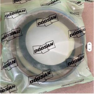 401107-01081    SEAL KIT;TRACK SPRING     DOOSAN DEVELON HYUNDAI