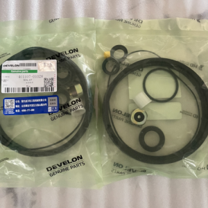 401107-01028 SEAL KIT  DOOSAN DEVELON