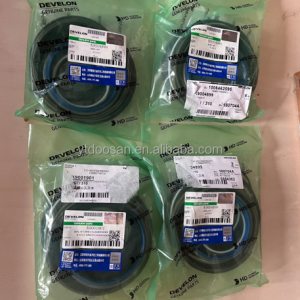 K9004899 SEAL KIT DOOSAN DEVELON