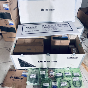 150115-00011    ENGINE OVERHAUL KIT DE08    DOOSAN DEVELON HYUNDAI