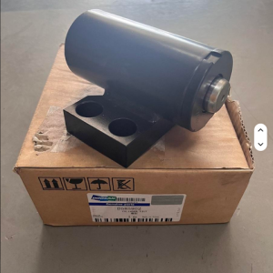 D585902 TILT CYLINDER DOOSAN DEVELON