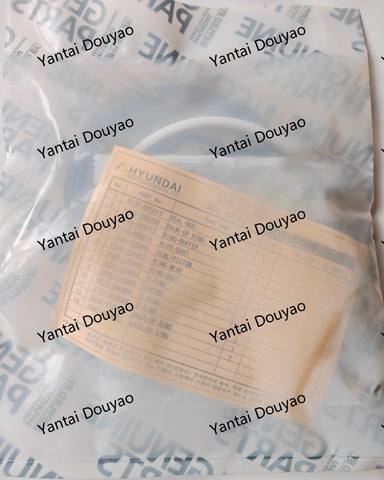 31Y1-28960 SEAL KIT, BOOM DOOSAN DEVELON
