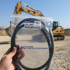 61Q6-06600  O-RING  HYUNDAI